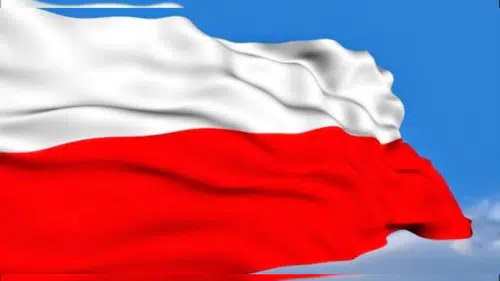 Polonya'da Anayasa Mahkemesi krizi: Cumhurbaşkanı Nawrocki ülkeye dönüyor