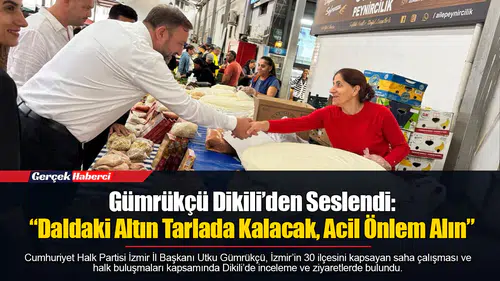 Gümrükçü Dikili’den Seslendi: “Daldaki Altın Tarlada Kalacak, Acil Önlem Alın”
