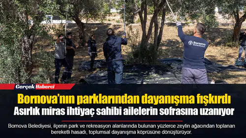 Bornova’nın parklarından dayanışma fışkırdı...  Asırlık miras ihtiyaç sahibi ailelerin sofrasına uzanıyor