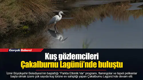 Kuş gözlemcileri Çakalburnu Lagünü’nde buluştu