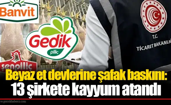 Beyaz et devlerine şafak baskını: 13 şirkete kayyum atandı