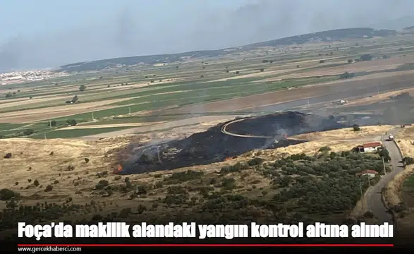 Foça’da makilik alandaki yangın kontrol altına alındı