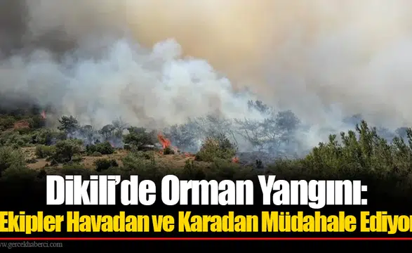 Dikili’de Orman Yangını: Ekipler Havadan ve Karadan Müdahale Ediyor