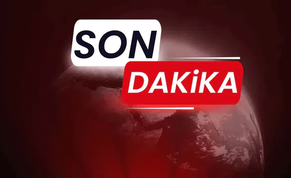 Büyükada Viranbağ Plajı'nde yangın çıktı