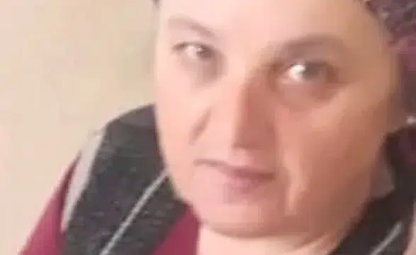 Zonguldak'ta eşek arısı sokması can aldı