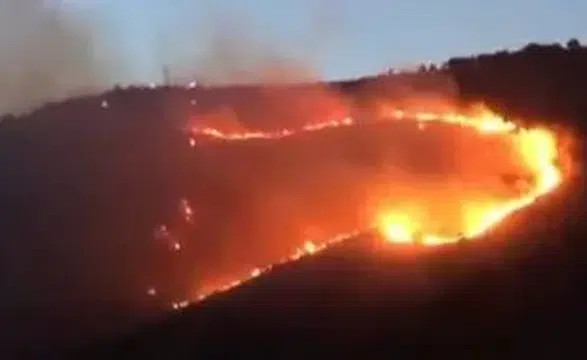 Karşıyaka'da rüzgar yangını büyütüyor, ekipler bölgede