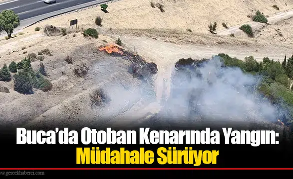 Buca’da Otoban Kenarında Yangın: Müdahale Sürüyor