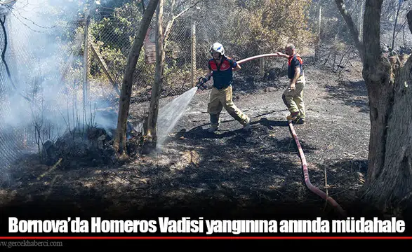 Bornova’da Homeros Vadisi yangınına anında müdahale