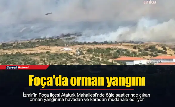 Foça'da orman yangını