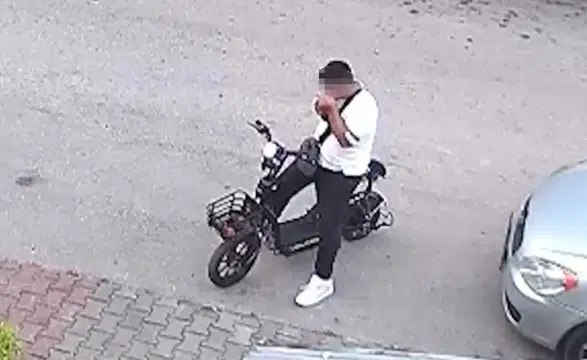 Bolu'da yavru kediyi önce öpüp sonra boğarak öldüren 15 yaşındaki çocuk gözaltına alındı