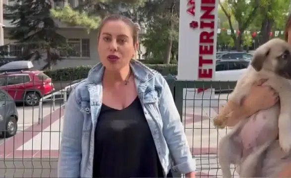 Hayvanları Koruma Derneği Başkanı Gülay Akgün Mutlu'nun katil zanlısı Kırıkkale'de gözaltına alındı
