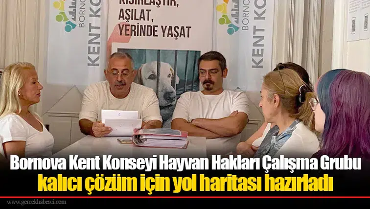 Bornova Kent Konseyi Hayvan Hakları Çalışma Grubu kalıcı çözüm için yol haritası hazırladı