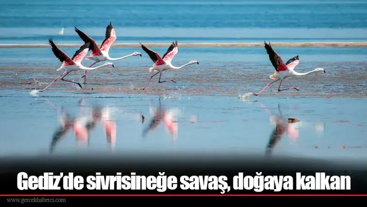 Gediz’de sivrisineğe savaş, doğaya kalkan