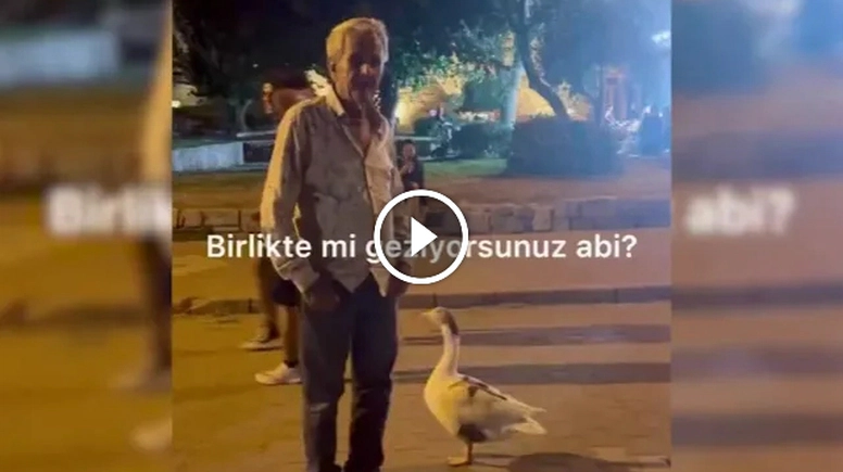 Kaz ile dostluğu yürekleri ısıttı... Yanından hiç ayrılmadı...