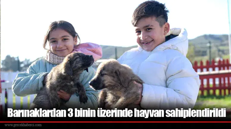 Barınaklardan 3 binin üzerinde hayvan sahiplendirildi