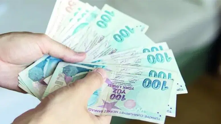 'Vatandaşlık maaşı' düzenlemesi Temmuz'da Meclise geliyor