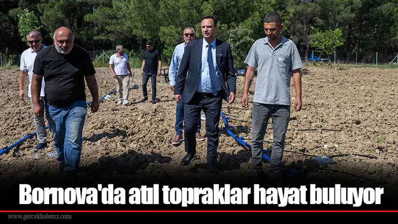 Bornova'da atıl topraklar hayat buluyor