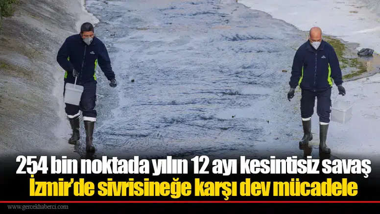 254 bin noktada yılın 12 ayı kesintisiz savaş:  İzmir’de sivrisineğe karşı dev mücadele