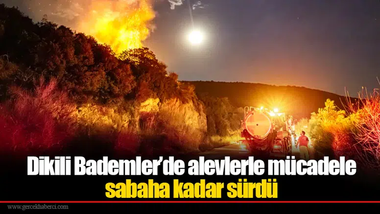 Dikili Bademler’de alevlerle mücadele sabaha kadar sürdü