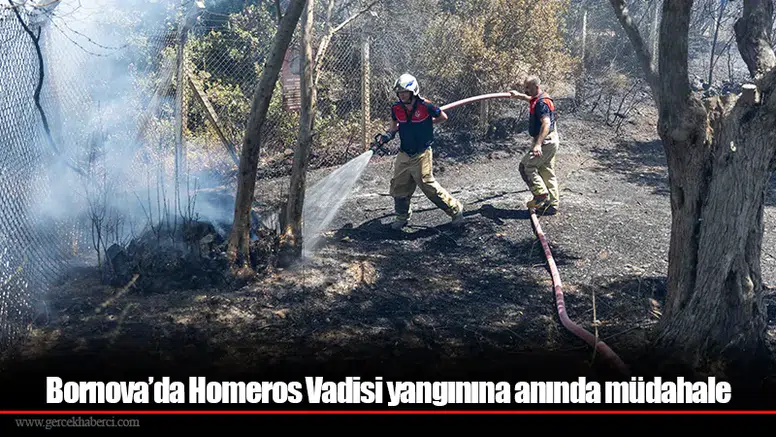 Bornova’da Homeros Vadisi yangınına anında müdahale