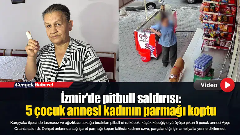 İzmir'de pitbull saldırısı: 5 çocuk annesi kadının parmağı koptu