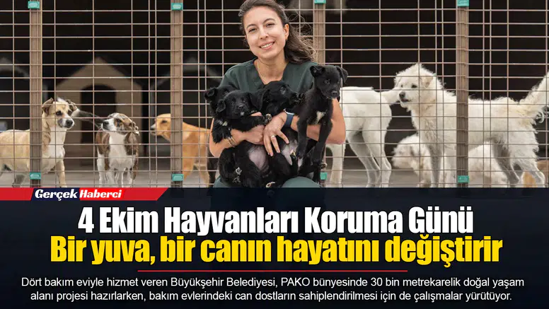 4 Ekim Hayvanları Koruma Günü...  Bir yuva, bir canın hayatını değiştirir