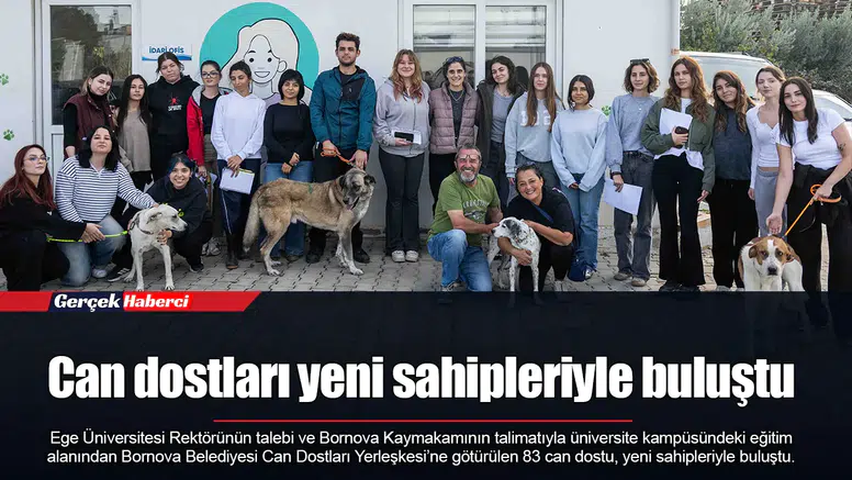 Can dostları yeni sahipleriyle buluştu