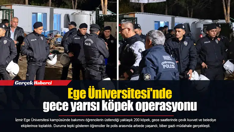 Ege Üniversitesi'nde gece yarısı köpek operasyonu