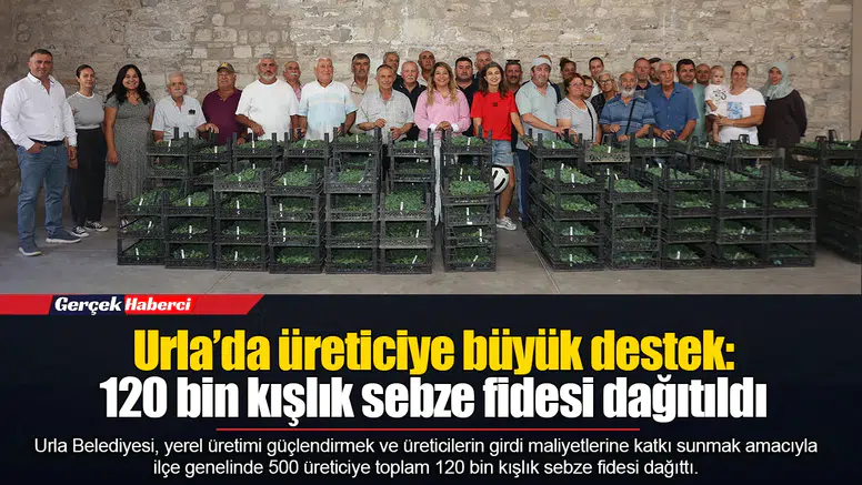 Urla’da üreticiye büyük destek: 120 bin kışlık sebze fidesi dağıtıldı