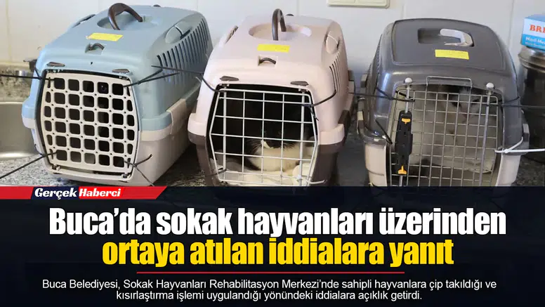 Buca’da sokak hayvanları üzerinden ortaya atılan iddialara yanıt