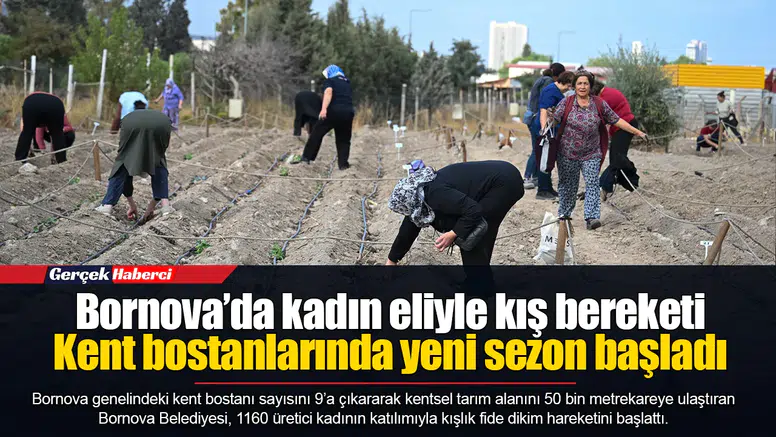 Bornova’da kadın eliyle kış bereketi...  Kent bostanlarında yeni sezon başladı