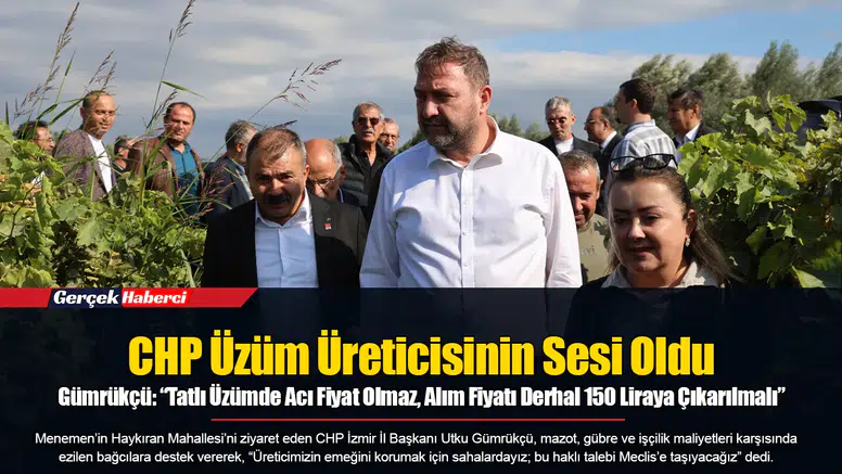 Gümrükçü: “Tatlı Üzümde Acı Fiyat Olmaz, Alım Fiyatı Derhal 150 Liraya Çıkarılmalı”