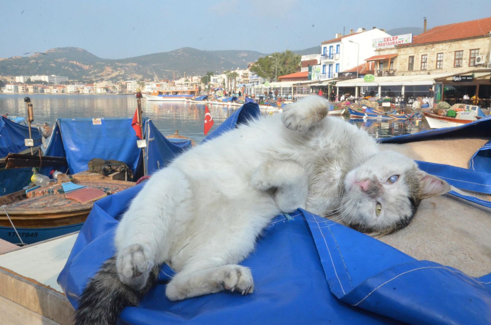 Ege'nin Yeni İncisi; 'FOÇA'