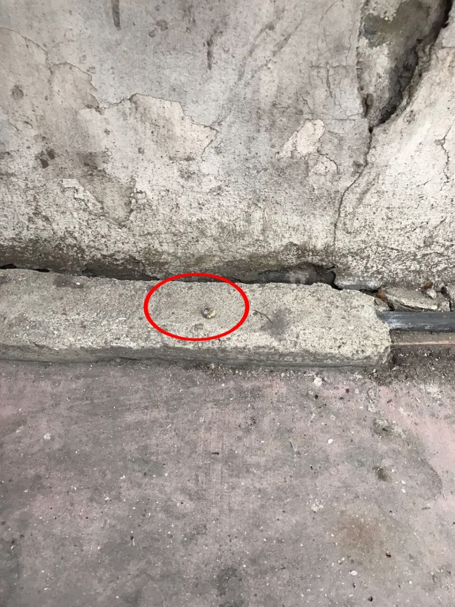 Cumhuriyet Önünde Silah Sesleri!