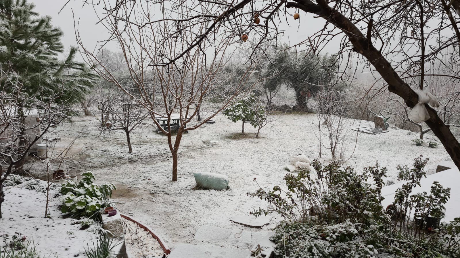İzmir’de kar sevinci