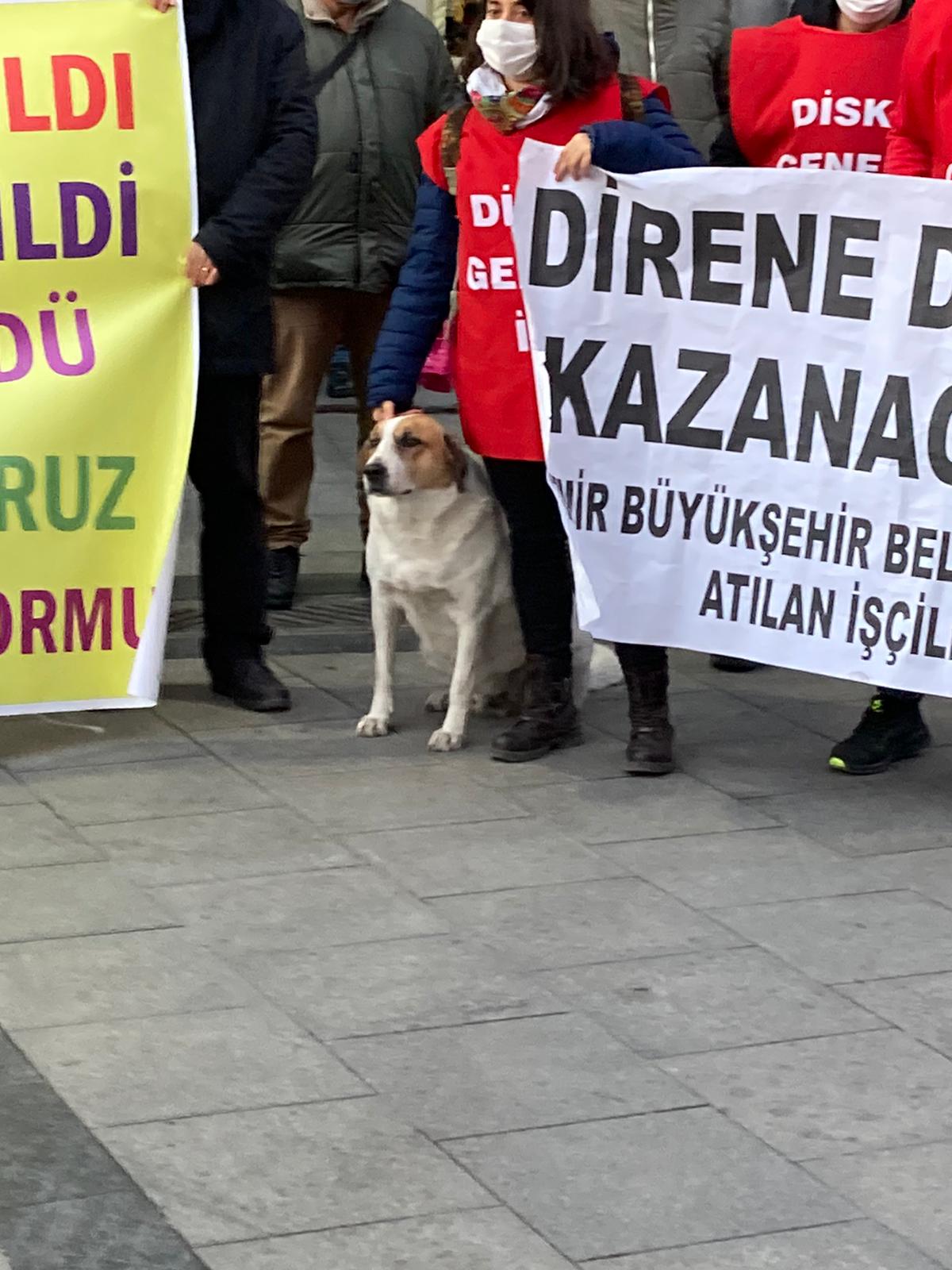 Eylemcilere Karşıyaka'da sürpriz destek