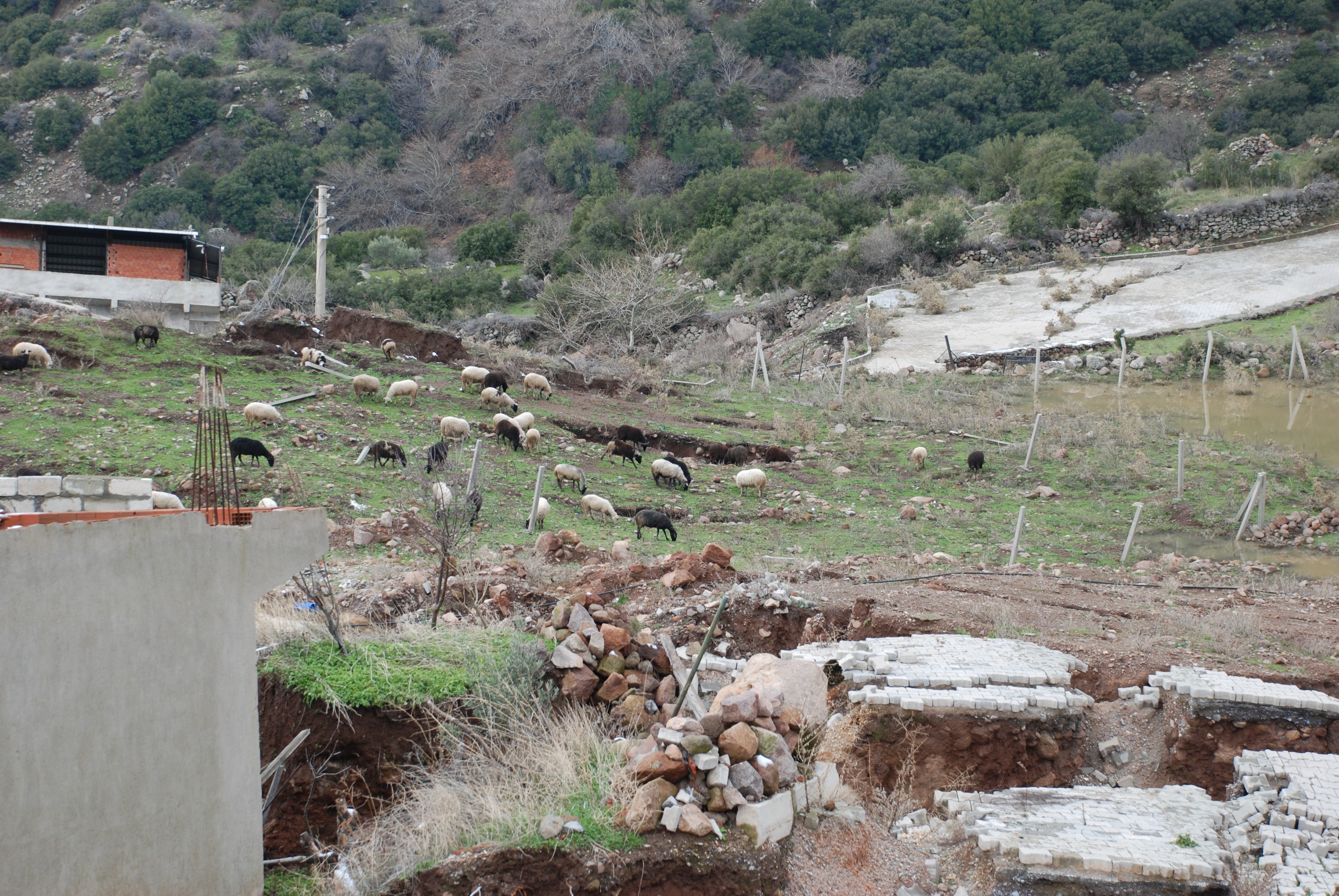 İzmir'de bir mahalle diken üstünde