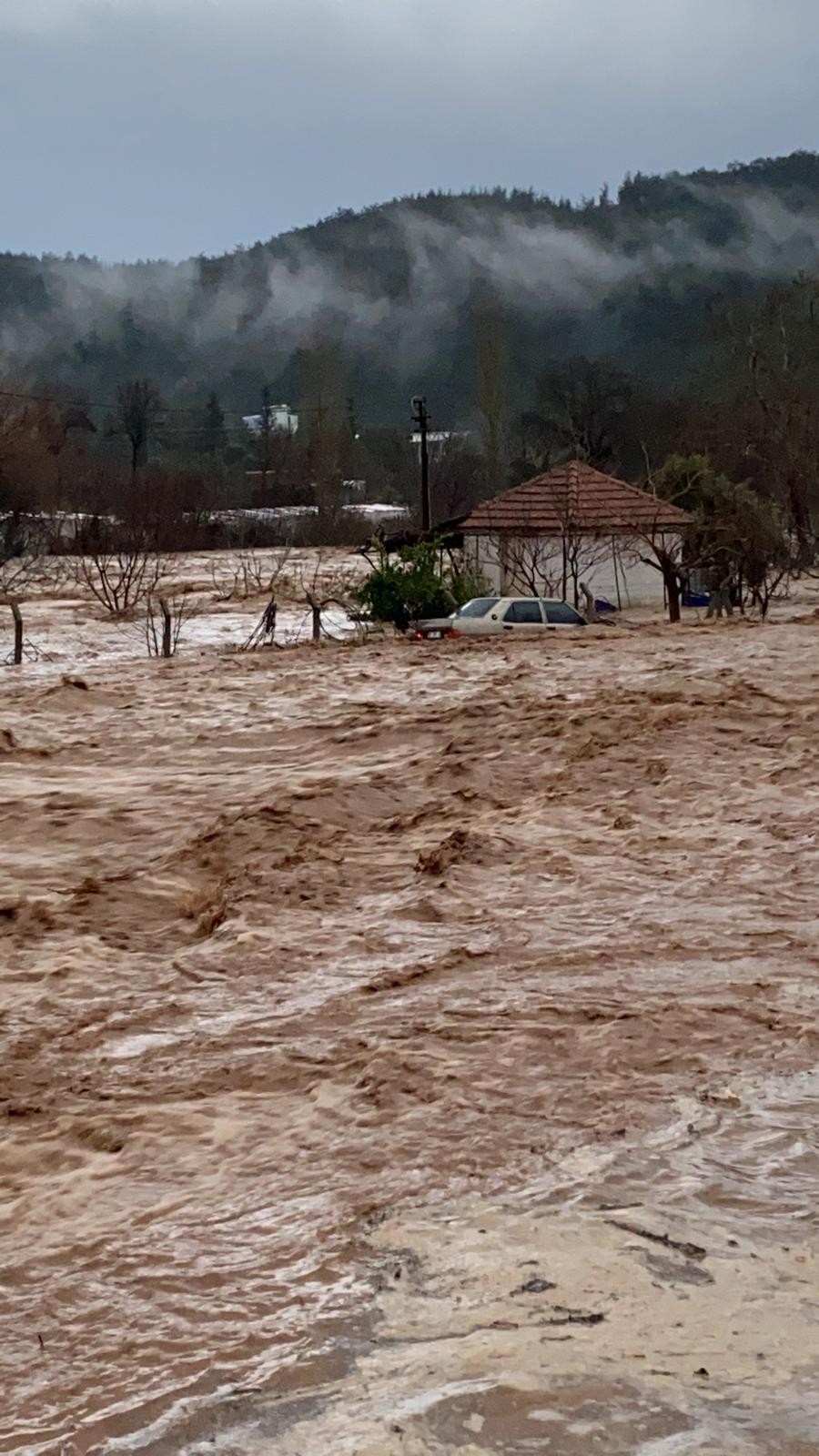 İzmir’deki selde 2 kişinin cansız bedenine ulaşıldı