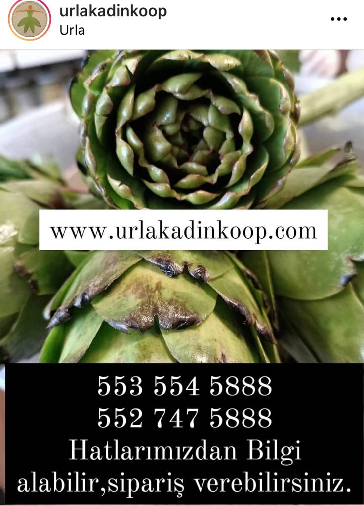 Urla Kadın Kooperatifi'nden destek çağrısı