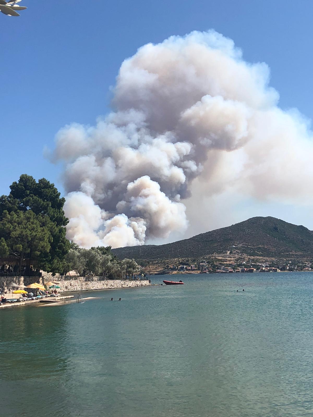 Urla'da Orman Yangını