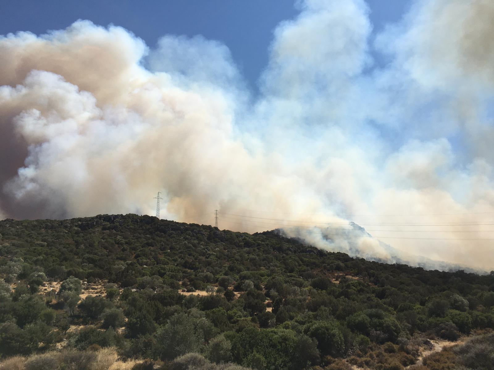 Urla'da Orman Yangını