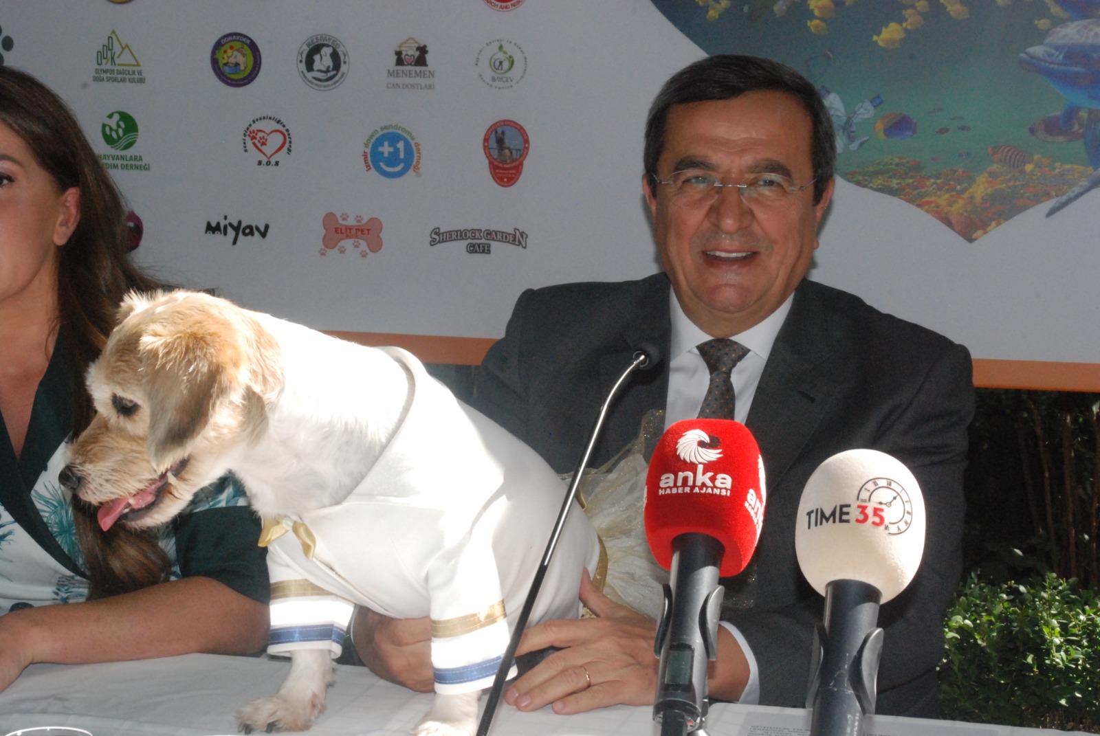 Patilerin Festivali’nde ‘Engelli Kedi Evi ve Rehabilitasyon Merkezi’ müjdesi