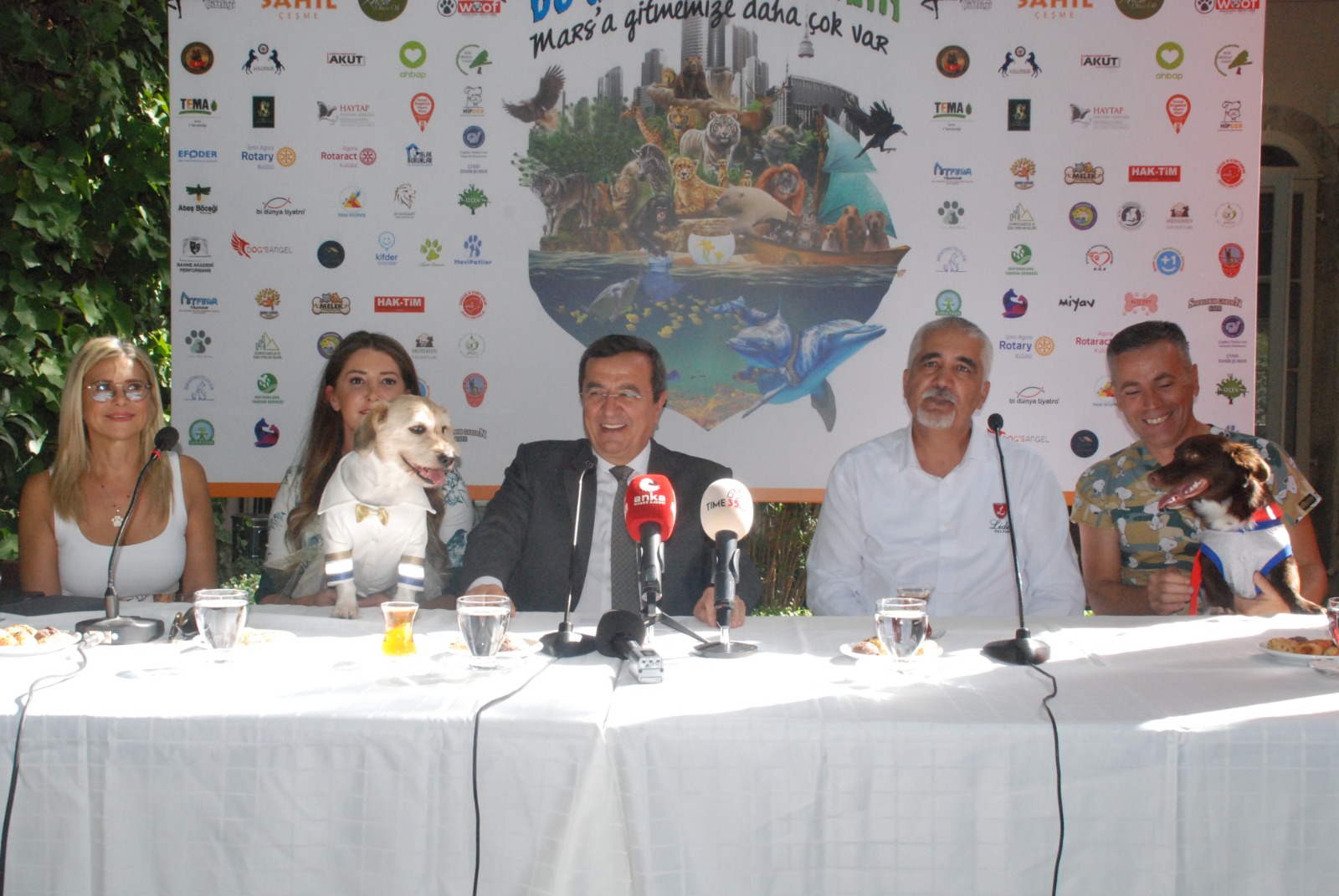 Patilerin Festivali’nde ‘Engelli Kedi Evi ve Rehabilitasyon Merkezi’ müjdesi