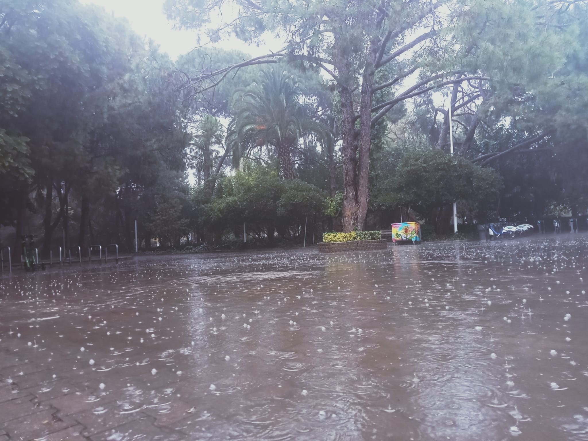 İzmir'de aniden bastıran yağmur hayatı felç etti