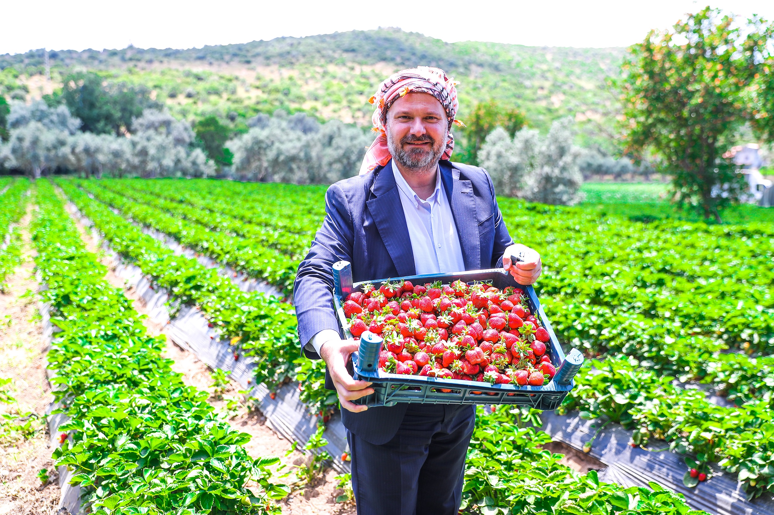 Menemen’de çilek kokulu günler başlıyor