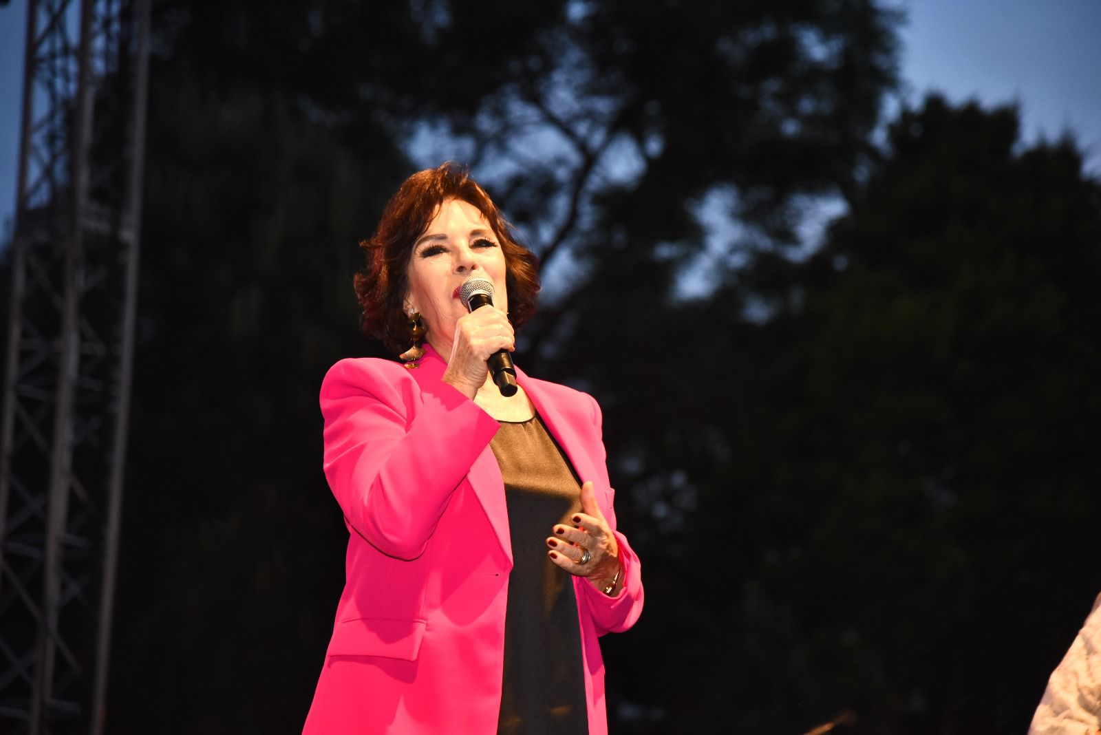 Emiralem Çilek Festivali yoğun katılımıyla kapılarını açtı