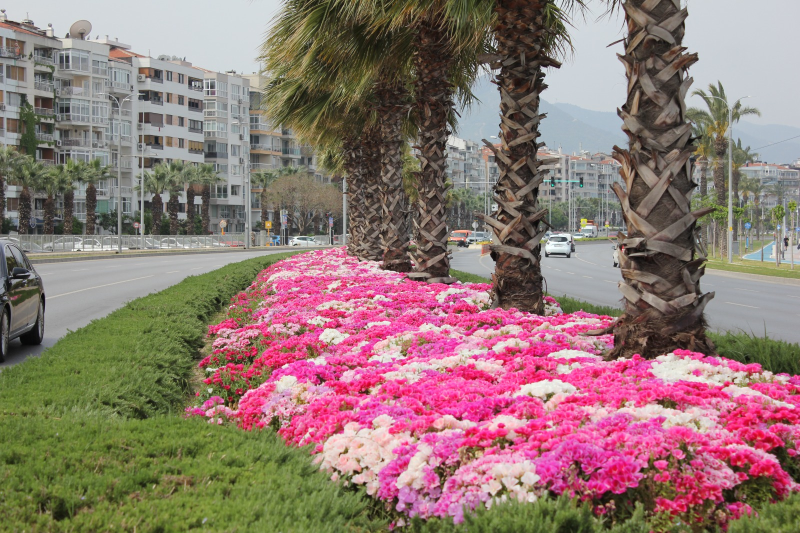 İzmir çiçek açtı