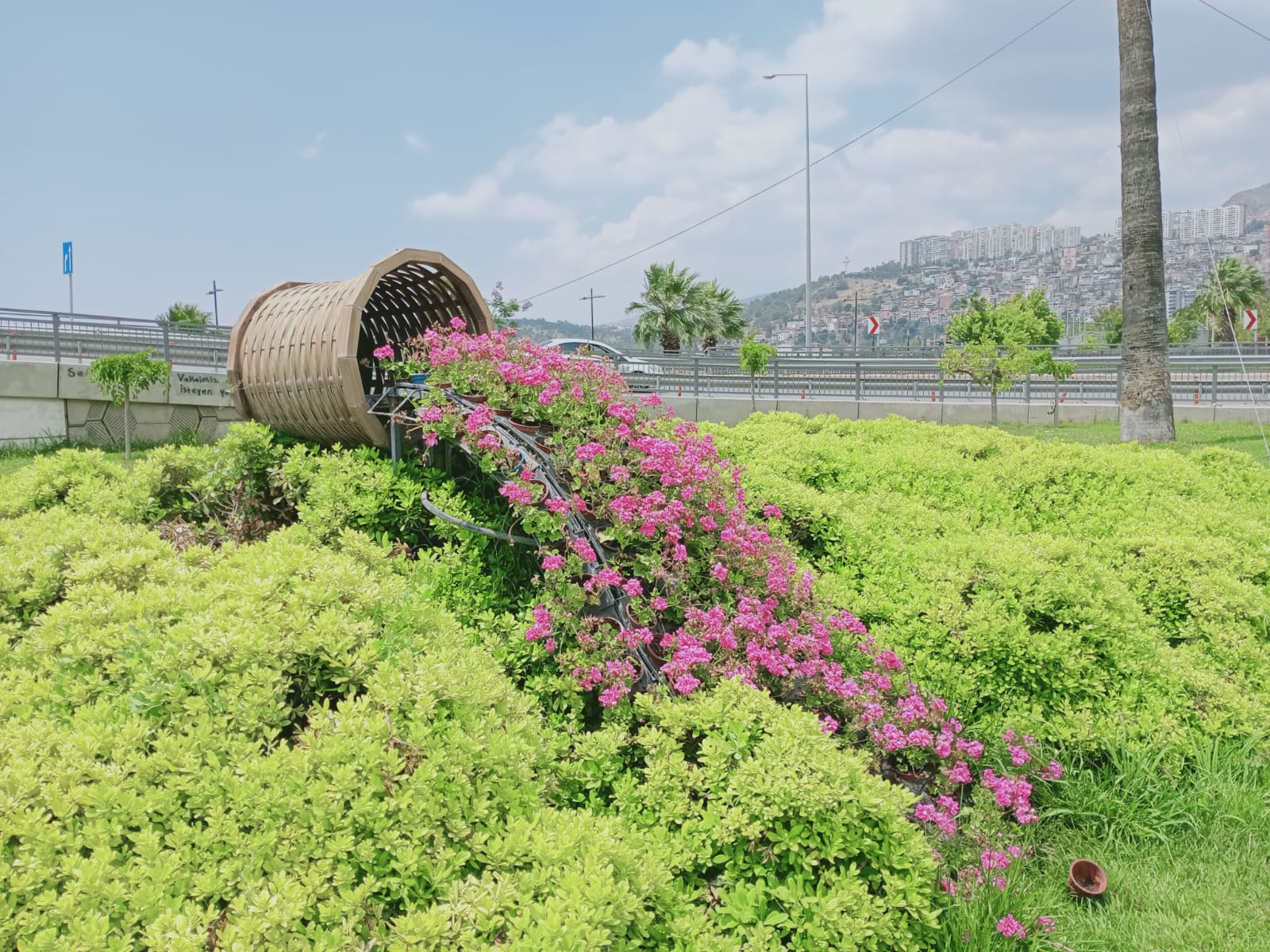İzmir çiçek açtı