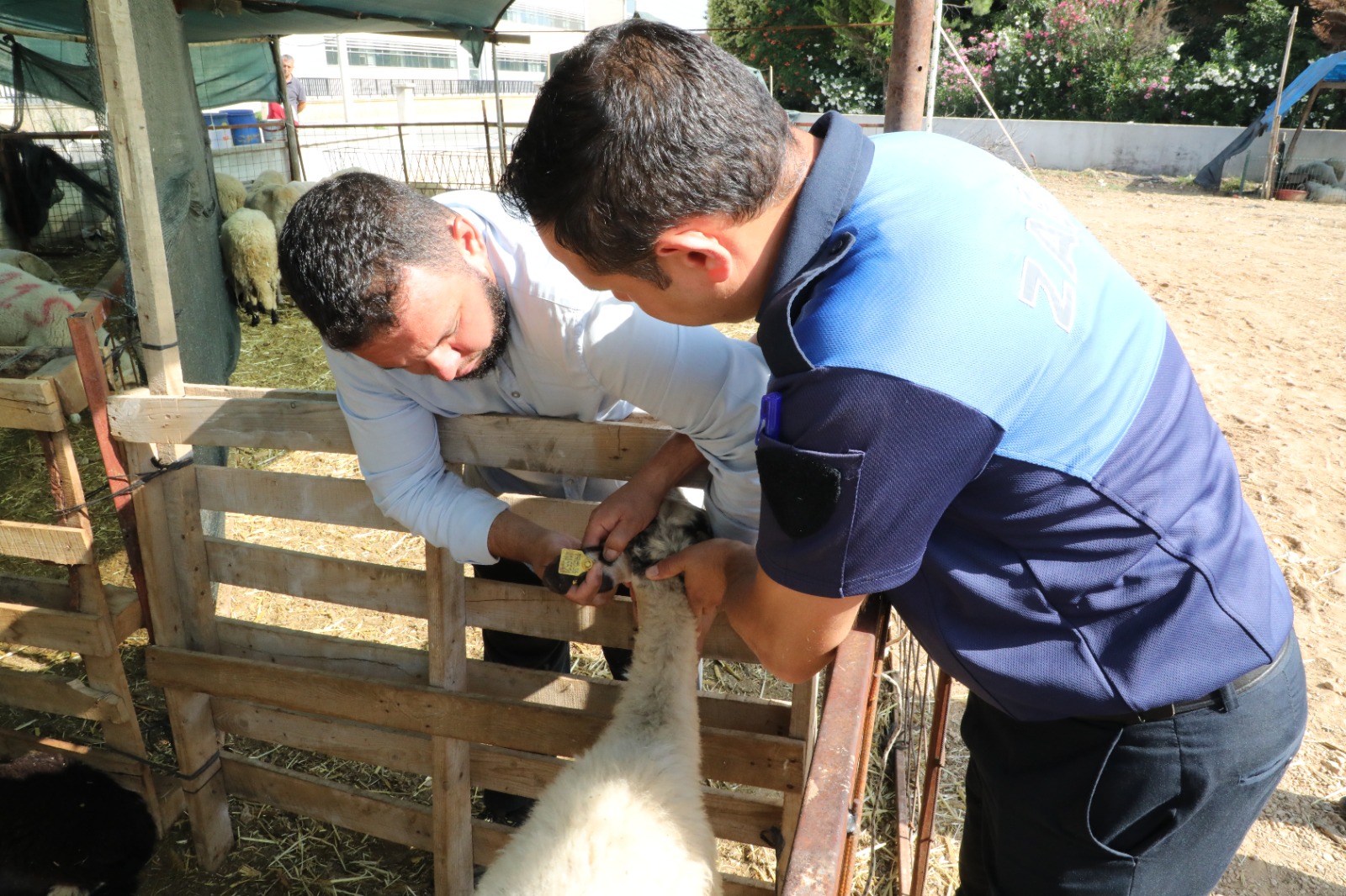 Menderes’te Kurban Denetimi
