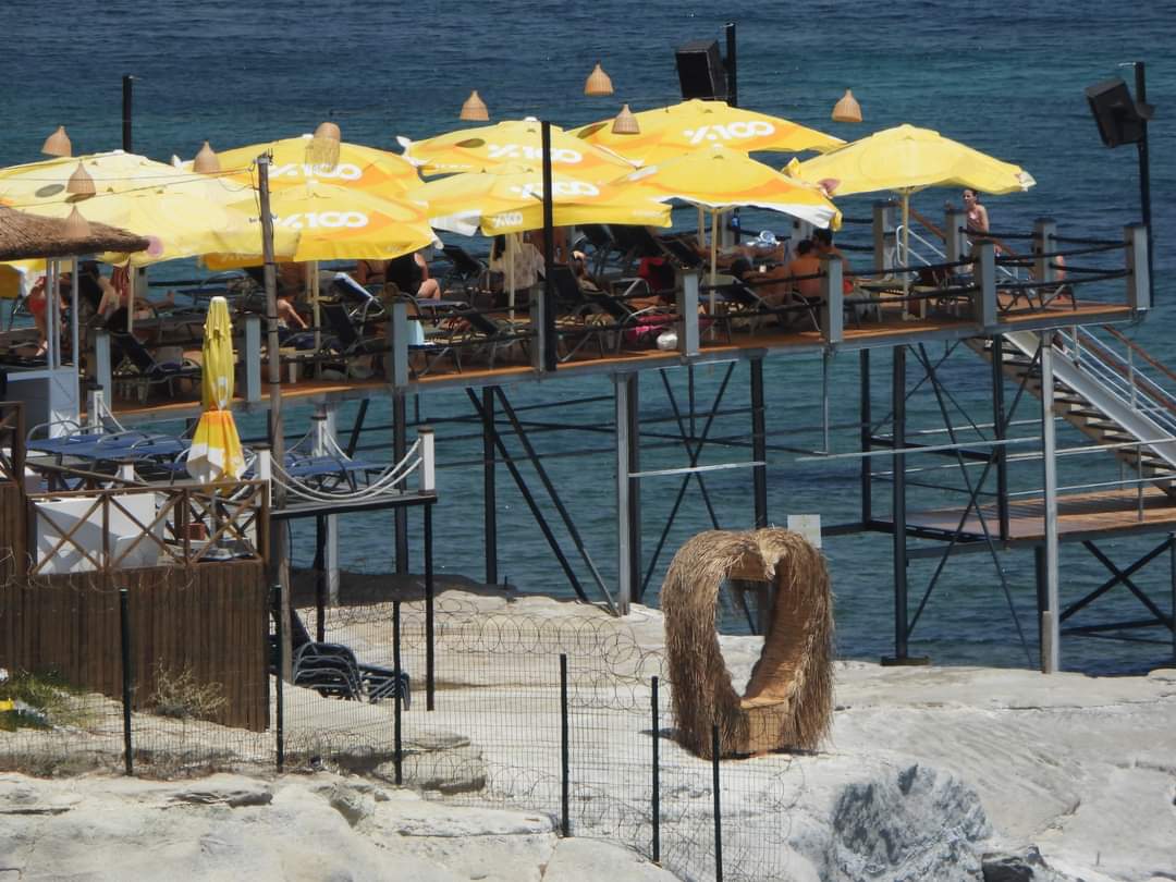 Akdeniz fokların yaşam alanına iskele:  Uluslararası sözleşmeye aykırı 